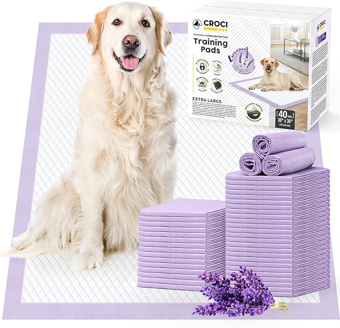 CROCI Large Puppy Pads with Adhesive Tabs Lavender Scented 30x36in 40Ct | Super Absorbent Pee Pads for Dogs Holds Up to 10 Cups of Urine, 6-Layers, Quick-Dry Surface, Leak-Proof, Disposable