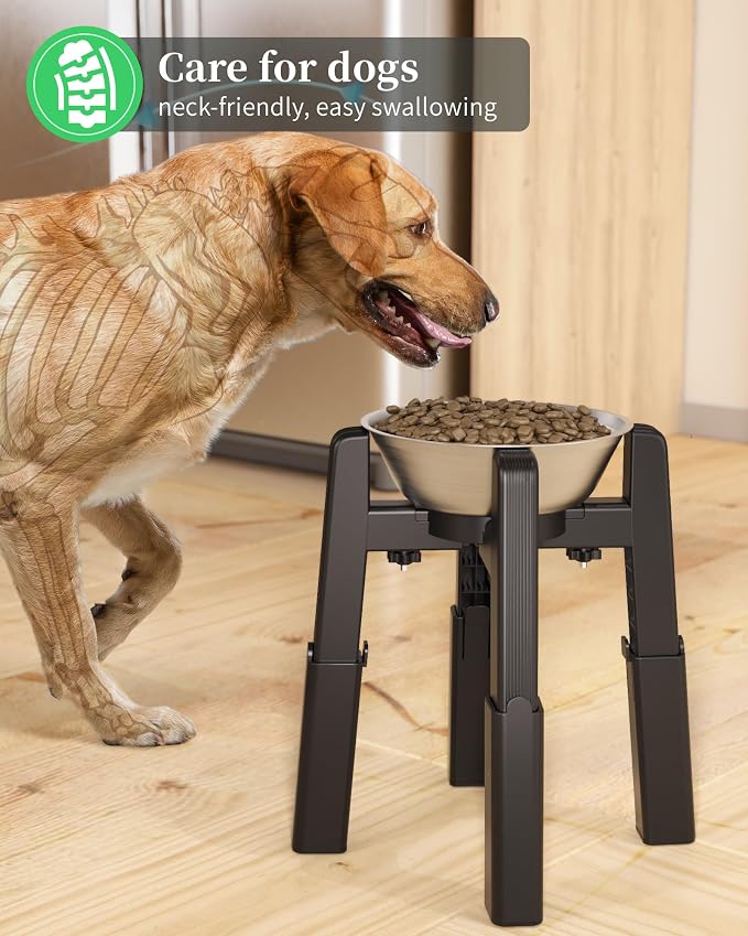 Elevated Dog Bowl, Raised Dog Bowl Stand with Stainless Steel Bowl | Elevated Pet Water & Food Bowl for Medium Dogs, Stable and Anti-Slip Raised Bowl