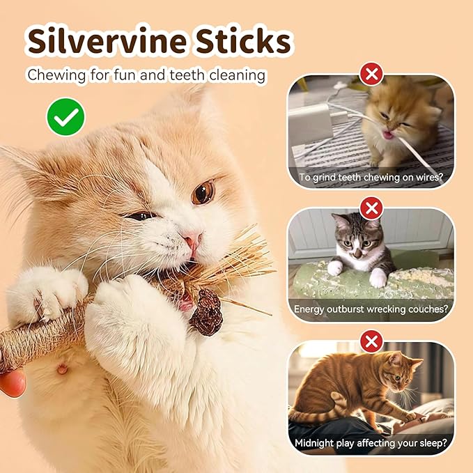 Cat Toys for Indoor Cats, 3 Pcs Silvervine Sticks with Gall Fruit & 1 Pc Cat Chew Rope for Teeth Cleaning, Interactive Cat Toys with Catnip, Kitten Chew Toys Teething for All Breeds Orange