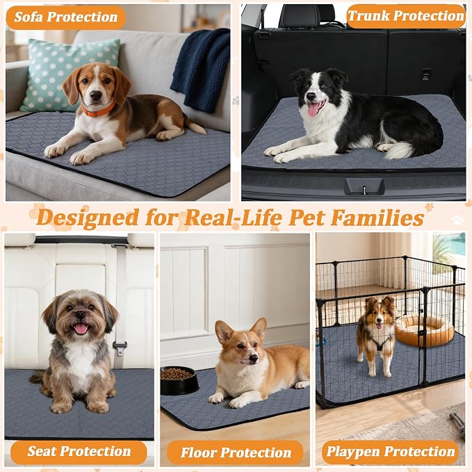Washable Reusable Pee Pad for Dogs, 1 Pack, 72 x 72 Inch, Playpen | Super Absorbent, Waterproof TPU, Machine Washable & Reusable, Non-Slip Bottom, Floor Protection