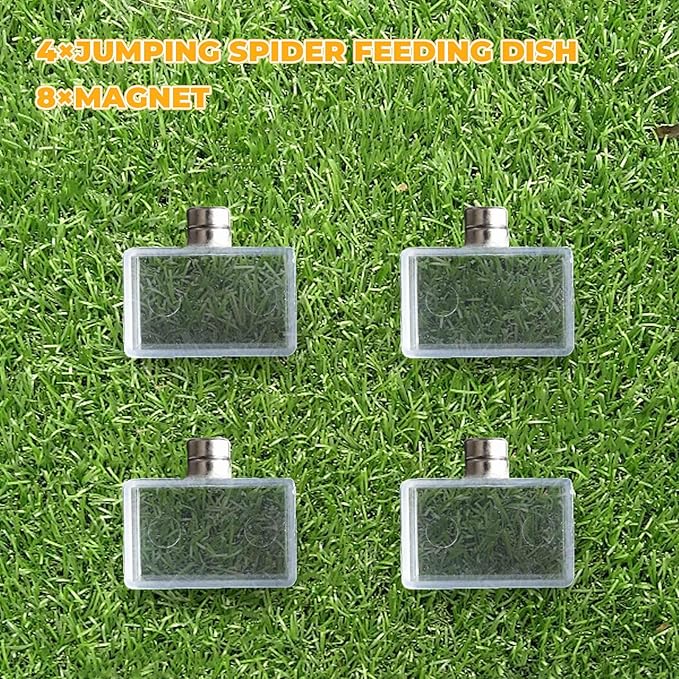 4 Pack Jumping Spider Accessories, Tiny Water Dish with Magnet for Jumping Spider, Tarantula Enclosure Accessories, Little Food Bowl for Jumping Spider, Tarantula, Other Small Pets