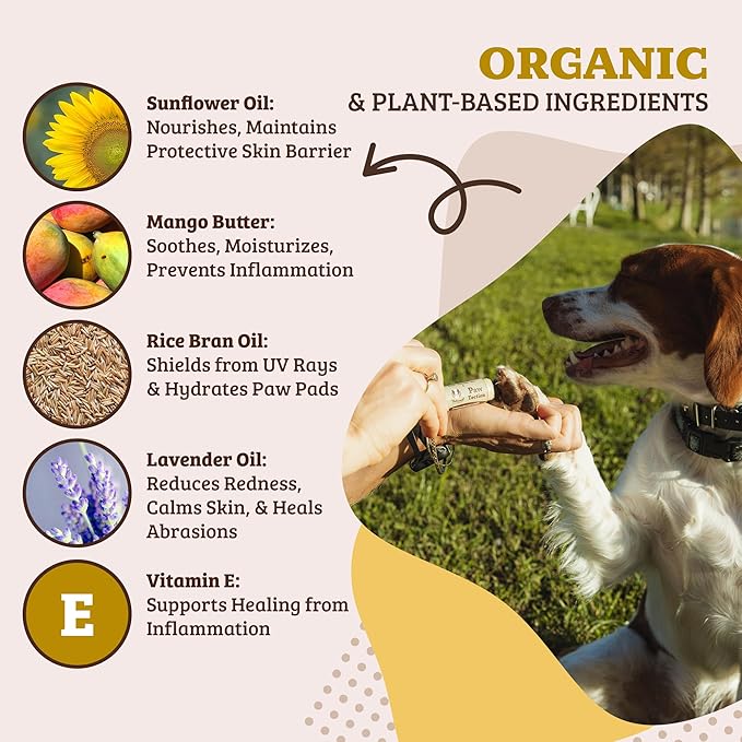 Natural Dog Company PawTection Dog Paw Balm, 4 Pack, Protects Paws from Hot Surfaces, Sand, Salt, & Snow, Organic, All Natural Ingredients (0.15 oz Travel Stick) X 4