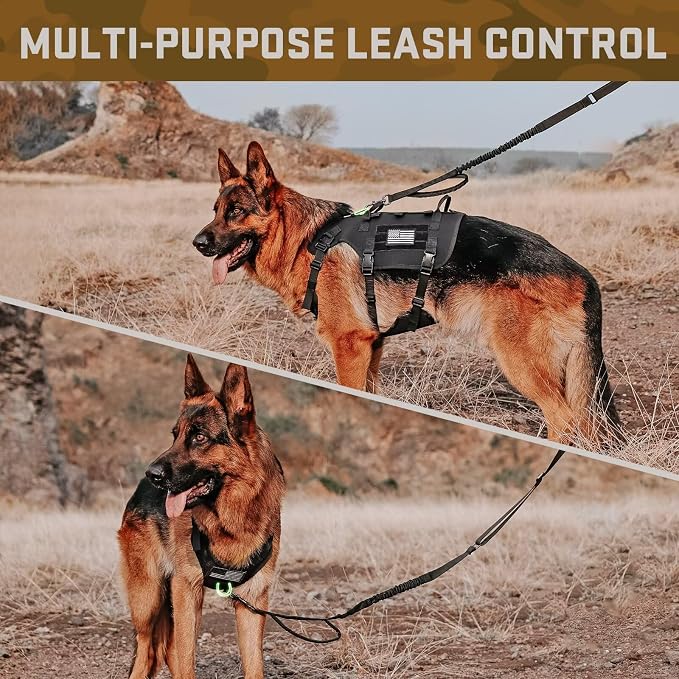 Forestpaw Tactical Dog Harness for Medium Dogs,Tactical Dog Collar with Bungee Leash Set,No Pull Military Dog Harness for Walking Training,Adjustable for Medium Dogs,Black,Chest 22-35"