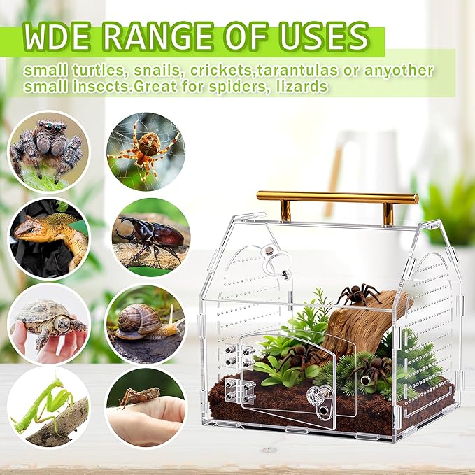 Jumping Spider Enclosure, 8.8" x 7.1" x 8.2" Acrylic Tarantula Enclosure with Feeding Hole and Magnetic Door, Reptile Terrarium Habitat for Tarantula, Spiders, Beetle, Mantis