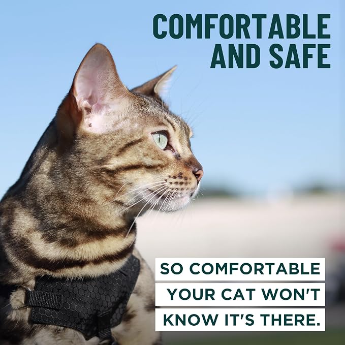 Houdini™ Escape Proof Cat Harness and Leash (Multicolor, XL) | Adjustable walking vest with 6ft lead, premium padded finish, snug secure fit, lightweight for travel and outdoor adventures