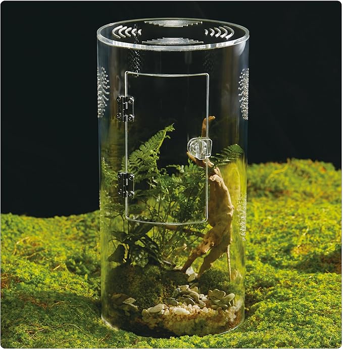 Acrylic Terrarium for Reptiles & Spiders – Small/Medium/Large Leak-Proof Enclosure (Horizontal/Vertical) | Ideal for Tarantulas, Jumping Spiders, Frogs & Geckos(Large, Round)