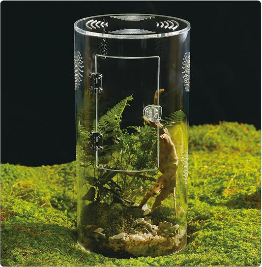 Acrylic Terrarium for Reptiles & Spiders – Small/Medium/Large Leak-Proof Enclosure (Horizontal/Vertical) | Ideal for Tarantulas, Jumping Spiders, Frogs & Geckos(Large, Round)