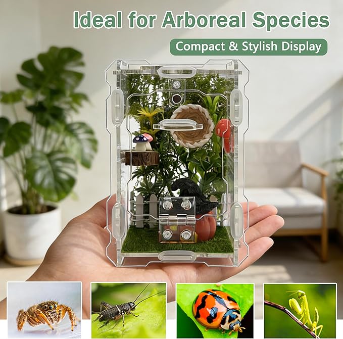 Jumping Spider Enclosure Kit - Acrylic Habitat with Magnetic Lock & Feeding Port - 5.1x3.1x3.1 inch Ventilated Terrarium for Small Pets, Jumping Spiders, Tarantula Slings, Beetles
