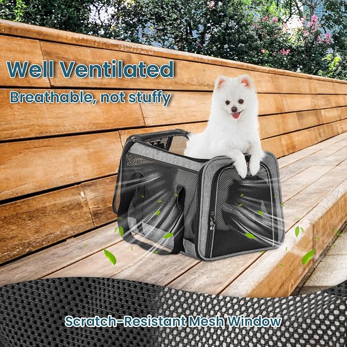 PETSFIT Large Cat Car Carrier,19 x 12 x 12 | Roomy Escape-Proof Cat Car Seat, Safe Driving, Lockable Zippers & Safety Tether, Soft-Sided Travel Carrier