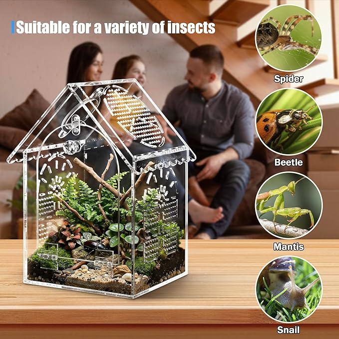 Jumping Spider Enclosure House Shape Design, Seamless Acrylic Tarantula Terrarium for Spiders and Small Reptiles, 6"x6"x10" (Large)