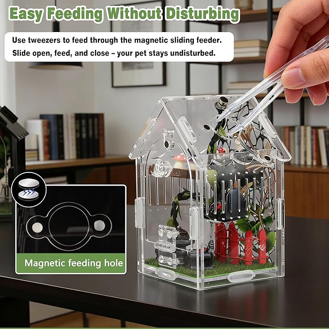 Jumping Spider Enclosure Kit, 22-Piece Acrylic Terrarium with Gothic Furniture & Magnetic Feeding Door, Clear 360 View Small Spider Habitat for Tarantula Mantis Beetle Scorpion