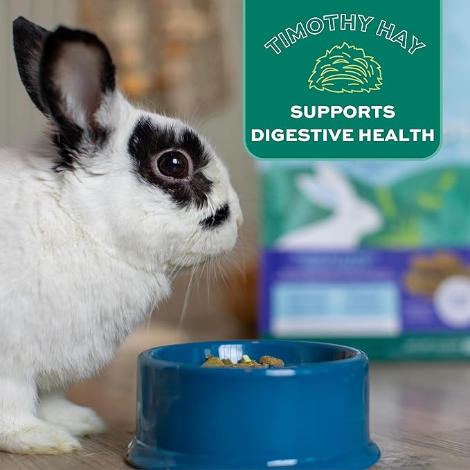 Oxbow Forage Wise Adult Rabbit Food, Engaging Variety Diet with Complete Nutrition in Every Piece, Timothy Hay Based Rabbit Food with Variety, Supports Digestion & Dental Health, Made in USA, 4 lb Bag