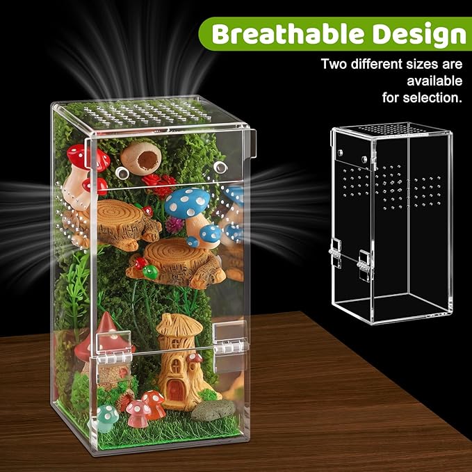 Jumping Spider Enclosure Kit Acrylic Terrarium Reptile Enclosure Accessories Insect Habitat for Mantis Tarantula Snail (Large)