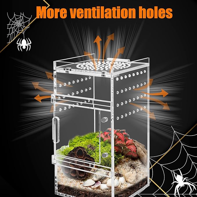 Acrylic Jumping Spider Enclosure Tarantula Enclosure, Full Transparency Spider Enclosure Spider Terrarium Jumping Spider Habitat, Insect Terrarium Bug Enclosure, Arboreal Tarantula Enclosure