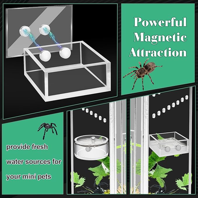 Windspeed 2+1P 1.8 inch Mini Jumping Spider Feeding Dish Magnet Tarantula Water Bowl for Spider Feeder Water Dish for Tarantula Tank Enclosure Accessories, with A Dropper (Square and Round)