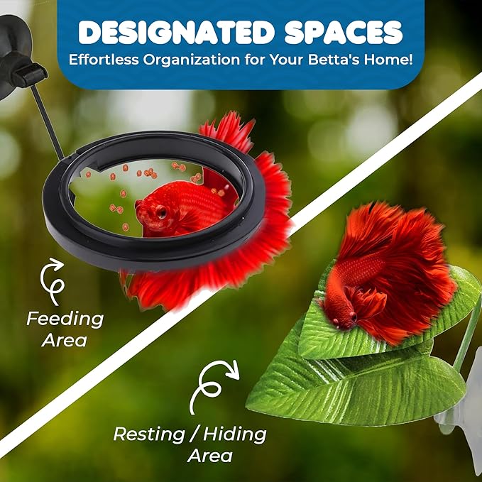 SunGrow Betta Ring and Leaf Hammock, Faux Fish Leaf Pad with Suction Cup, Spawning Ground, Breeding, and Resting Bed, Feeding Spot, Hideout Ornament and Aquarium Décor, Black Circle Fish Feeder, 2 Pcs