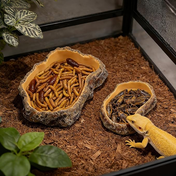 Reptile Food Dish, Terrarium Water Bowl, Feeding Bowl for Reptile Amphibian Pets