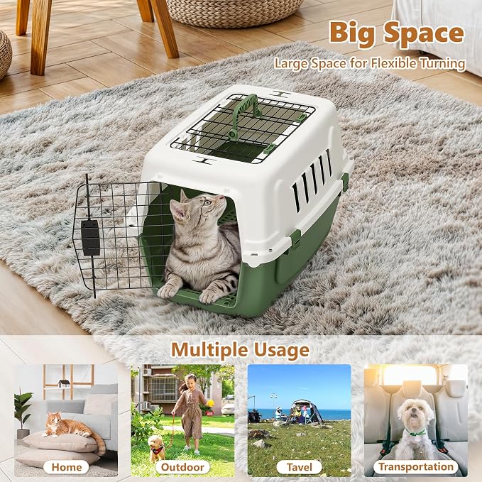 Athena Collection 22" Hard-Sided Travel Pet Carrier for Small Dogs and Cats | Plastic Dog Crate with 2-Door Top & Front Load, Ventilation, Security Lock, Cat Dog Carrier for Pet, up to 22lbs, Green