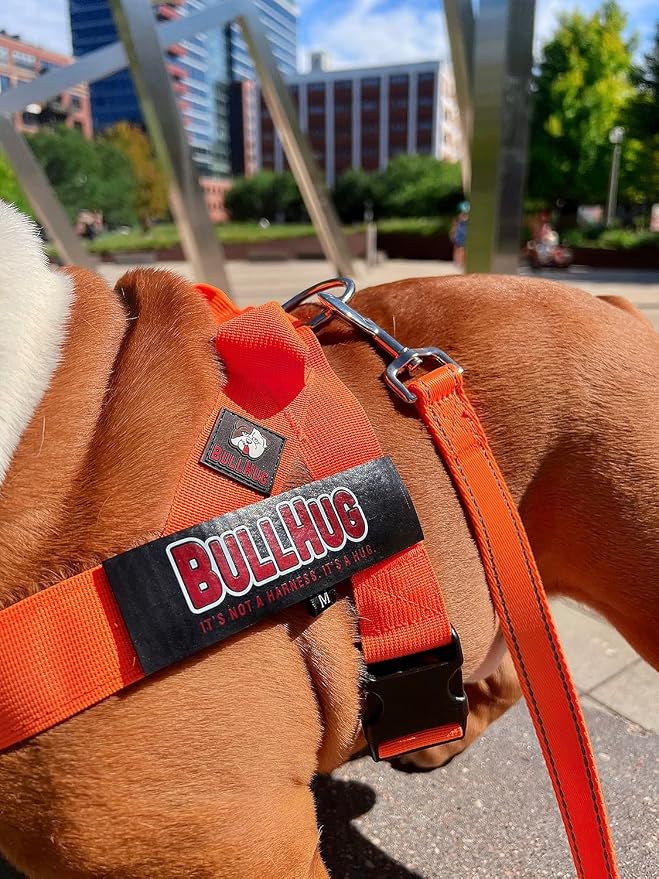 Adjustable Dog Harness– No Pull, No Choke – for English Bulldogs, French Bulldogs, Pugs & Broad-Chested Breeds – Easy, Safe Walks (NEON Orange, Small)