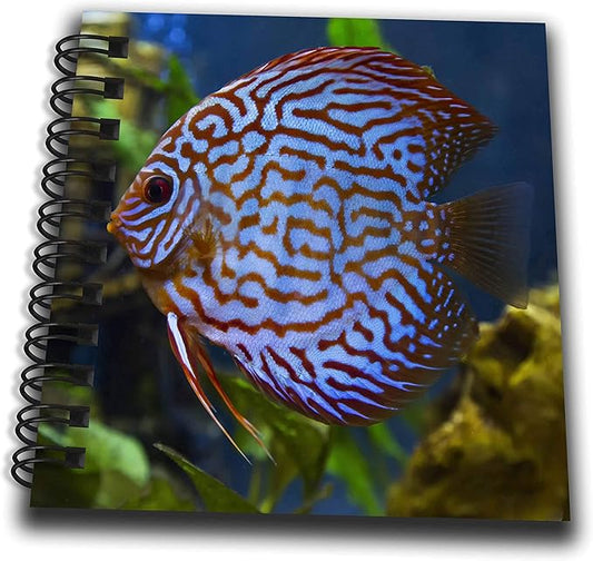 Mini Notepad 4 x 4 inch - Freshwater tropical discus, Mosaic Turquoise Discus. Fish