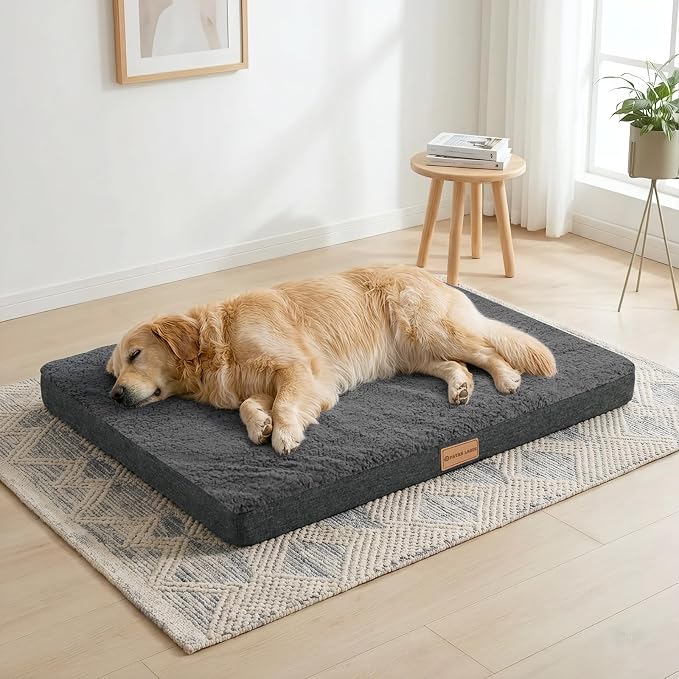 Patas Lague Orthopedic Large Dog Bed Pet Sofa Mat 56''X40'' Dark Grey | Egg-Crate Foam Dog Couch For Large Sized Dogs, Waterproof Removable Washable Cover, Soft Pet Crate Bed With Nonskid Bottom
