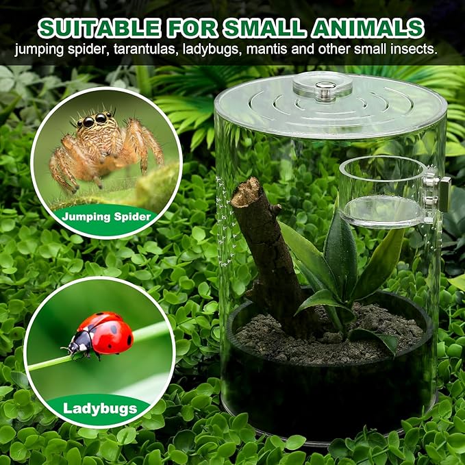 Jumping Spider Enclosure Starter Kit with Feeding Dish, Tarantula Cribs for Mantis Snails Ladybugs Insect, Micro Habitat Cage Accessories