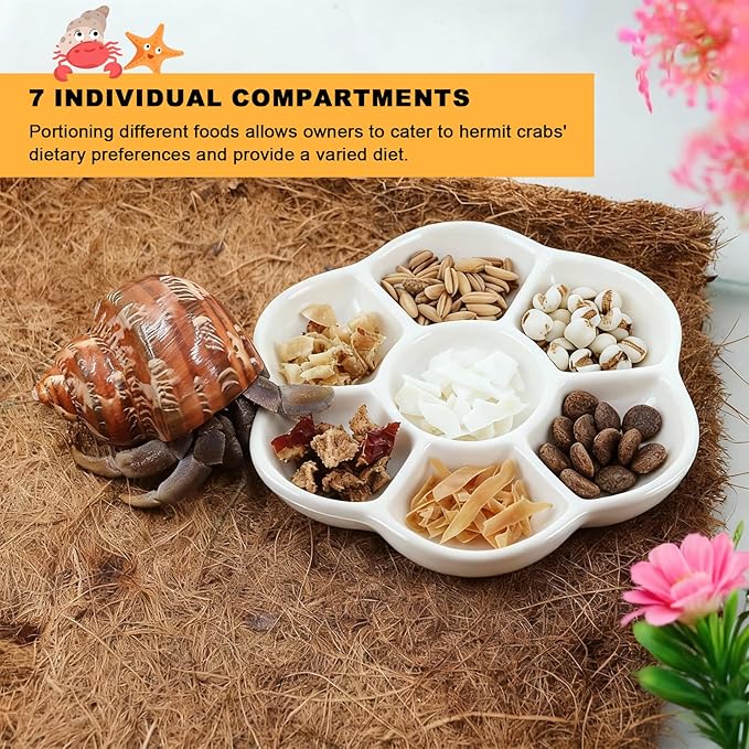 Eiito Reptile Food Bowl,Hermit Crab Lizard Gecko Ceramic Food Dish, 7 Compartments Anti-Turning Bearded Dragon Food & Water Bowl with Small Brush (White)