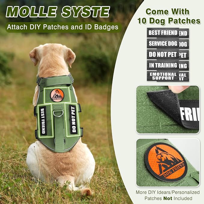 Service Dog in Training Vest and Leash Set with 10 Patches,Heavy Duty Tactical Dog Harness with Metal Buckles for Medium Sized Dogs,No Pull Easy Walking for Training Working Hiking,Green M
