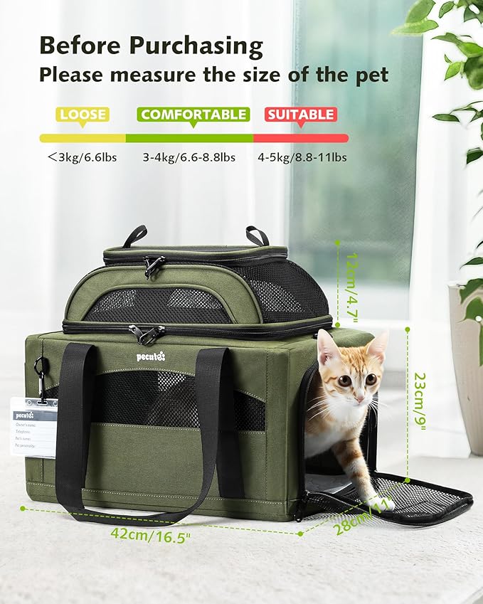 Pecute Expandable Airline Approved Pet Carrier for Cats & Dogs, Light Gray | Fits pets under 11 lbs, Under-seat airline approved, Anti-scratch mesh, Safety leash & locking zippers, Leakproof pee pad