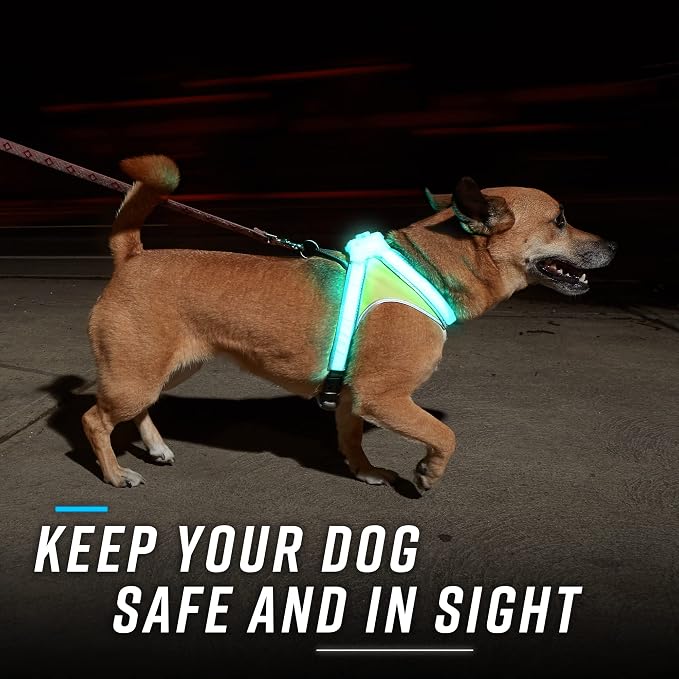 noxgear LightHound Light Up Reflective Dog Harness and Leash, Large | 360° Light Up Reflective Dog Harness, 8 Colors & 6 Modes, USB Rechargeable, Adjustable, Rainproof, LED Fiber Optic