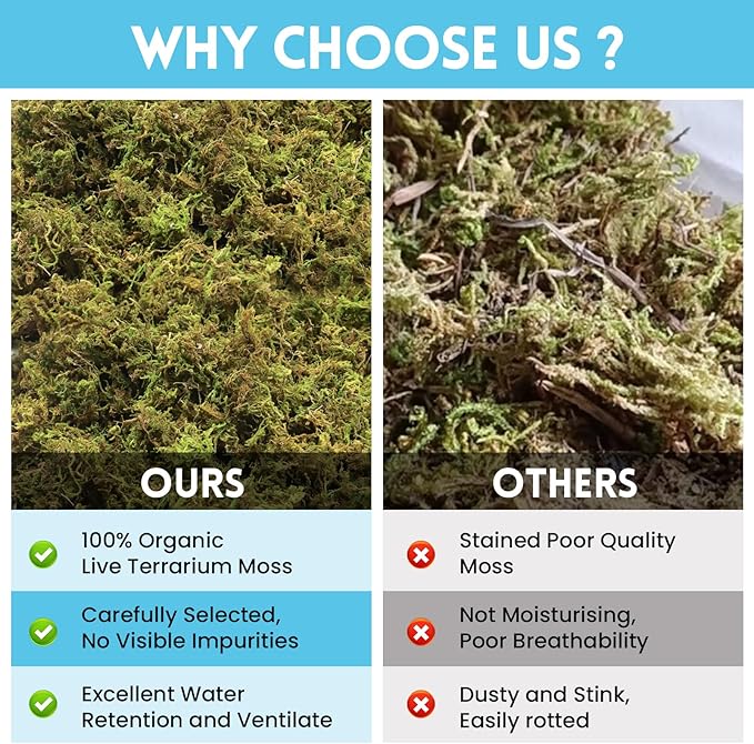 Riare 7 OZ Premium Sphagnum Moss for Reptiles- 10QT Natural Live Moss Reptile Moss Bedding for Terrarium, Hatching, Forest Sphagnum Moss Reptile Substrate for Snakes, Gecko, Turtles, Frogs, Leopard