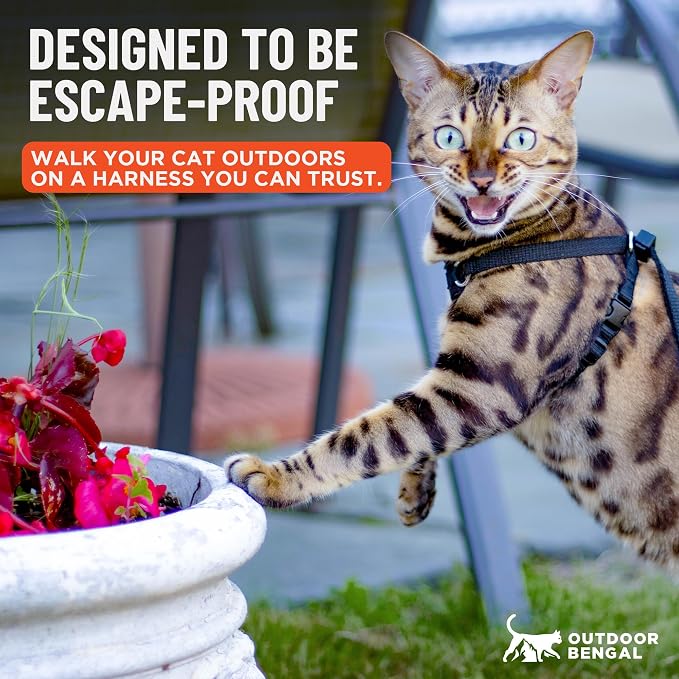 Houdini™ Escape Proof Cat Harness and Leash (Black, M/L) | Adjustable walking vest with 6ft lead, premium padded finish, snug secure fit, lightweight for travel and outdoor adventures