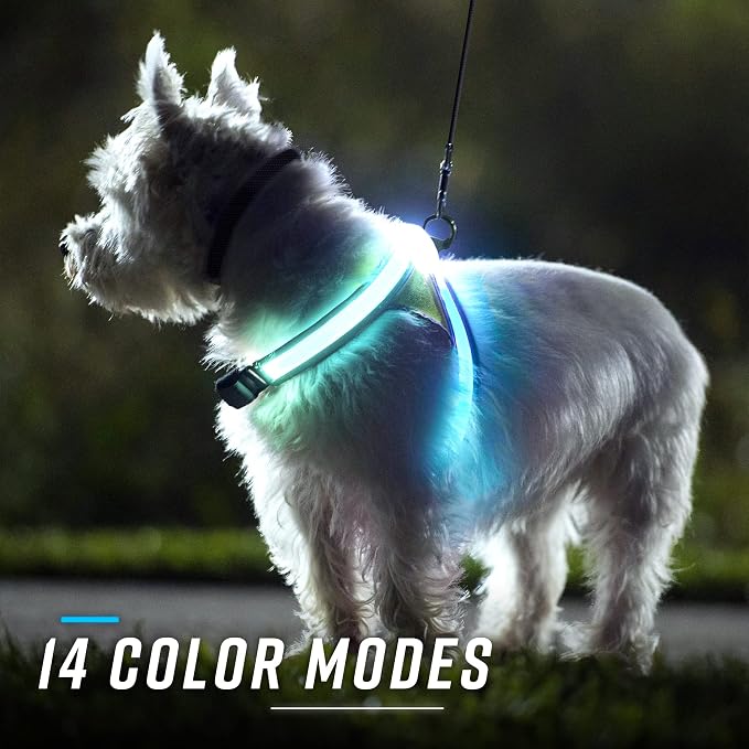 noxgear LightHound Light Up Reflective Dog Harness and Wrist Light, Medium | 360° Light Up Reflective Dog Harness, 8 Colors & 6 Modes, USB Rechargeable, Adjustable, Rainproof, LED Fiber Optic