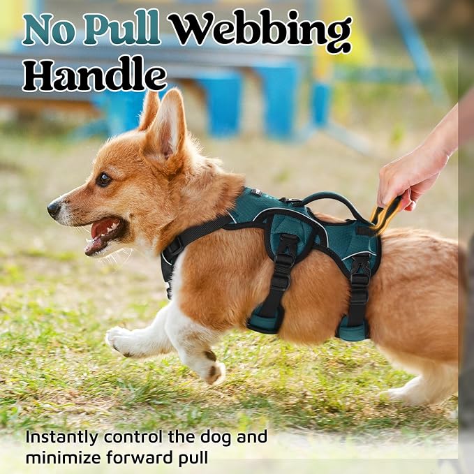 rabbitgoo Escape Proof Dog Harness for Small, No Pull with Lift Handle | No Escape, Full Soft Padded, Reflective Adjustable Vest, Leash Clip for Walking Hiking Training, Dark Green, Small