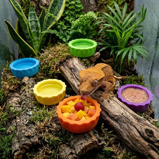 7 PCS Crested Gecko Food and Water Bowl Reusable Silicone Reptile Feeding Dish Small Pet Tank Accessories for Crested Gecko Lizard Hermit Crab Tarantula Isopods Easy Clean