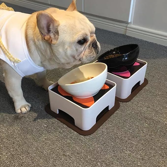 Bulldog Bowl Anti-Slip Dog Cat Dish Detachable Rubber Dog Bowl Pet Sterile Tilted Pet Feeder Slope Base