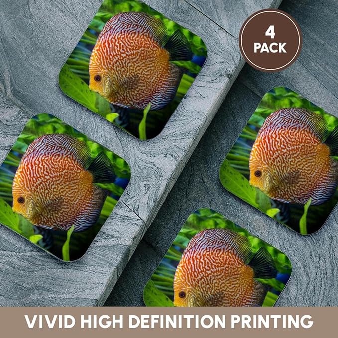 3dRose Super Pigeon Snakeskin Discus, Tropical Freshwater Fish Set of 4 Coasters - Soft