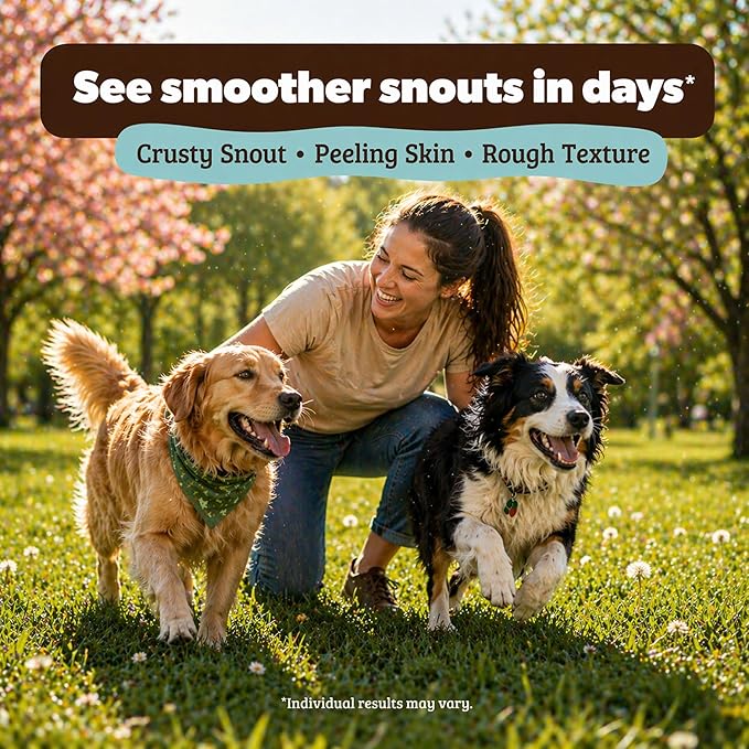 Natural Dog Company Snout Soother Dog Nose Balm – Moisturizing Care for Dry, Crusty, Cracked Noses with Coconut Oil & Shea Butter, Lick Safe Dog Snout Balm for All Breeds - 4 oz Tin