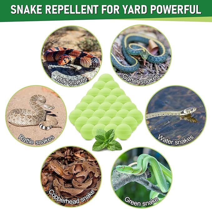 30 Pack Snake Repellent for Yard Powerful,Snake Away Repellent Outdoors, Moth Balls for Snakes, Pet Safe Snake be Gone for Lawn Garden Fishing Home to Repels Snakes and Other Pests (Mint)