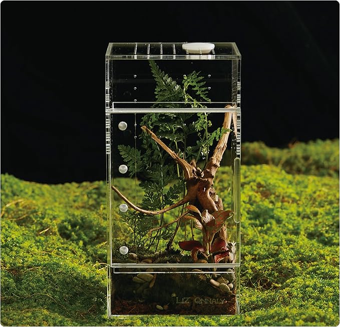 Acrylic Terrarium for Reptiles & Spiders – Small/Medium/Large Leak-Proof Enclosure (Horizontal/Vertical) | Ideal for Tarantulas, Jumping Spiders, Frogs & Geckos(Small, Vertical)