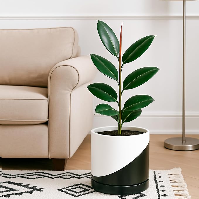 D'vine Dev 10 Inch Ceramic Planter Pot, Black White Diagonal, 94-O-E-K | Modern Cylinder Design, Drainage Hole & Saucer Included, Stable Structure, Elegant Home Accent