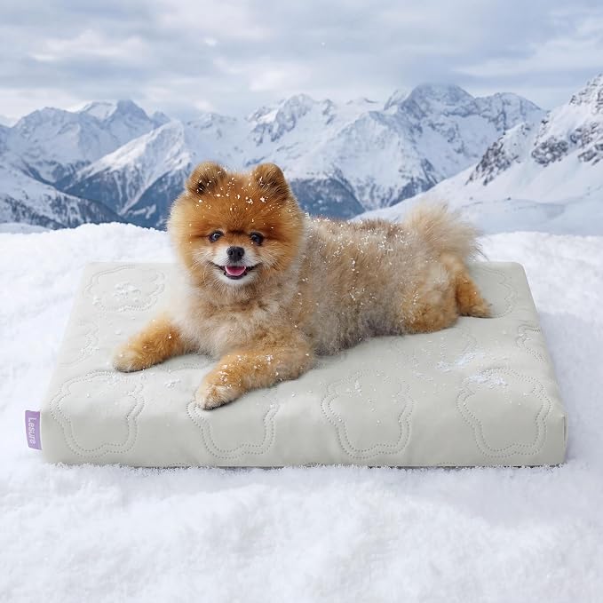LE SURE ApexCloud™ Small Cooling Dog Bed with Washable Cover, 23x17 Inch | Q-Max>0.5 Cool-Touch Fabric, Orthopedic Egg Crate Foam,Breathable Non-Slip Summer Mat,For Active Senior Long-Haired Pets,Grey