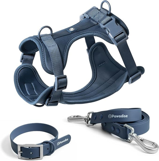 Dog Harness, Collar & Leash Set, Adjustable No Pull Harness with 3 Leash Clips, Waterproof Matching Collar & Leash, Breathable Comfort (Blue, Small)