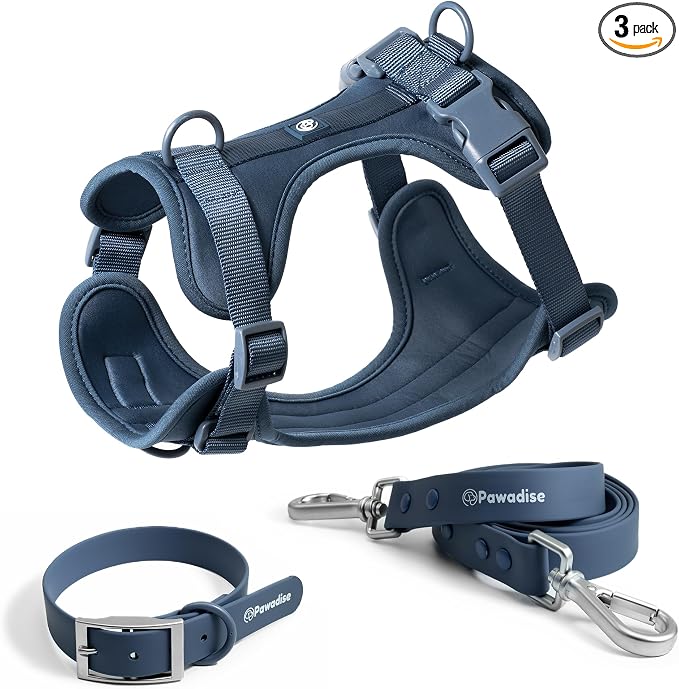 Dog Harness, Collar & Leash Set, Adjustable No Pull Harness with 3 Leash Clips, Waterproof Matching Collar & Leash, Breathable Comfort (Blue, Medium)