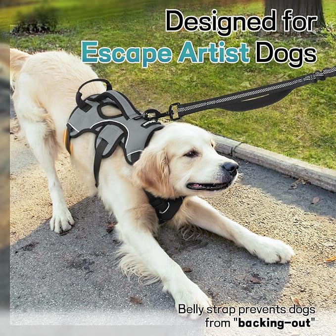rabbitgoo Escape Proof Dog Harness for Large, No Pull with Lift Handle | No Escape, Full Soft Padded, Reflective Adjustable Vest, Leash Clip for Walking Hiking Training, Grey, Large