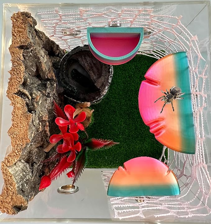 2 Pack Jumping Spider Accessories Mushroom Ledges & 1 Pack Water Bowl with Magnets for Spoods Jumping Spiders Magnetic Ledge Ladder Pet Spider Accessories (Not Included The Terrarium)