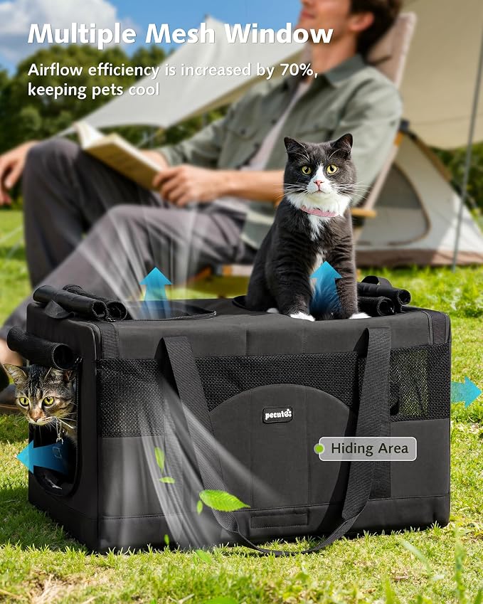 Pecute Cat Carrier, Soft Double Pet Crate for 2 Cats Travel, Dark Gray | 5mm Anti-collapse Frame, Convertible Dual Space, Foldable, Polyester Breathable mesh, Up to 26 lbs, Car Travel & Vet Visits