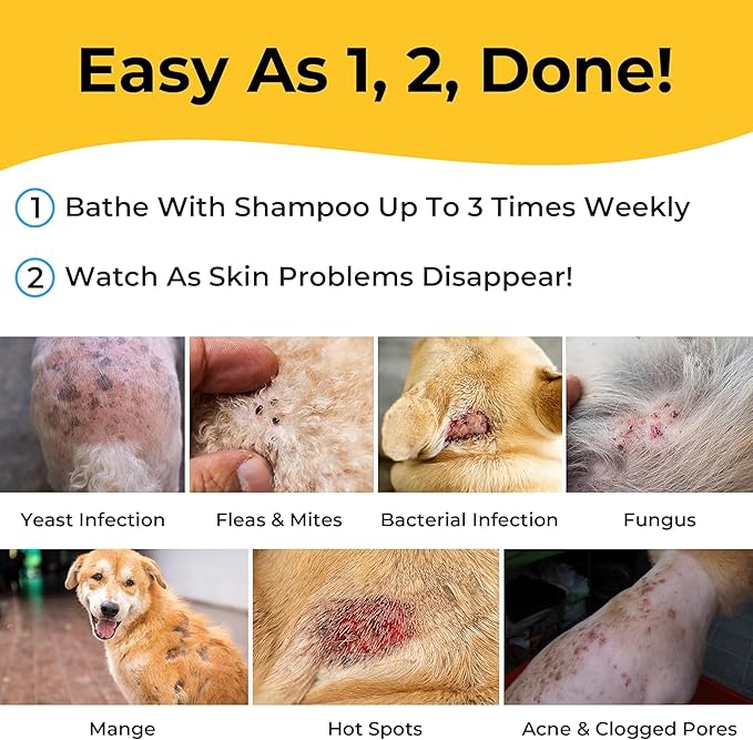 Smiling Paws Pets - Itch Relief Shampoo for Pets - Contains Benzoyl Peroxide - Kills Fleas - Relieves Allergies, Itching, Dermatitis, Mange, Dandruff, Acne, Demodex, Seborrhea, Pyoderma - 12oz