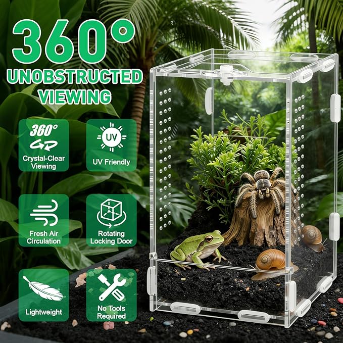 DARENYI Jumping Spider Enclosure, 7.8"x4.7"x4.3" Small Acrylic Terrarium Praying Mantis Enclosure with Front Door, Jumping Spider Habitat for Tarantula, Snail, Lizard, Crabs and Small Reptiles