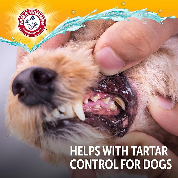 Arm & Hammer Complete Care Dental Water Additive for Dogs, Easy Portion Bottle 16 Fl Oz, Dog Breath Freshener, Odorless and Flavorless, Baking Soda Enhanced for Tartar Control